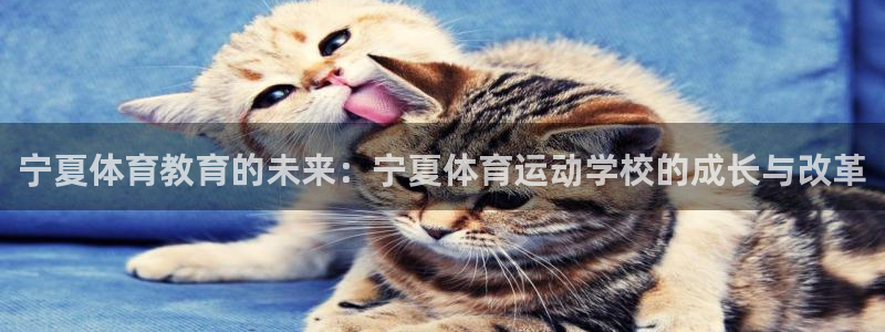 杏宇2体育登录入口：宁夏体育教育的未来：宁夏体育运动学校的成长与改革