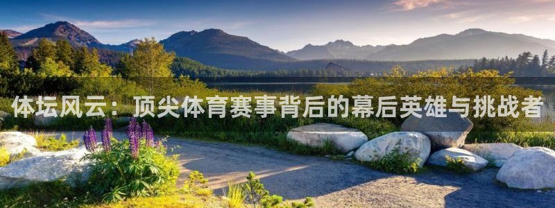 杏宇体育官网注册：体坛风云：顶尖体育赛事背后的幕后英雄与挑战者