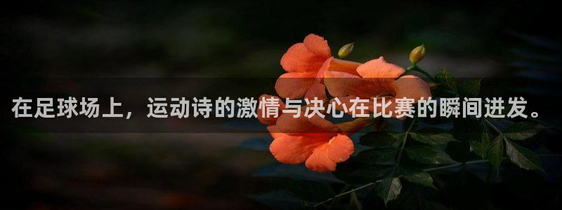 杏宇平台注册入口：在足球场上，运动诗的激情与决心在比赛的瞬间迸发。