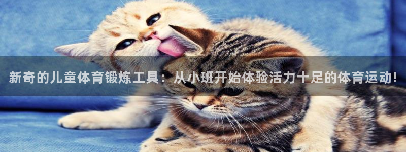 杏宇官网：新奇的儿童体育锻炼工具：从小班开始体验活力十足的体育运动!