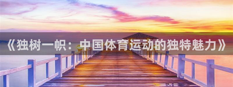 杏宇代理注册官网入口：《独树一帜：中国体育运动的独特魅力》