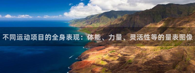 杏宇官网入口：不同运动项目的全身表现：体能、力量、灵活性等的量表图像