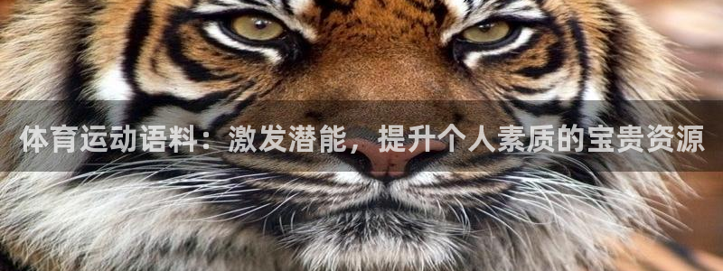杏宇体育：体育运动语料：激发潜能，提升个人素质的宝贵资源