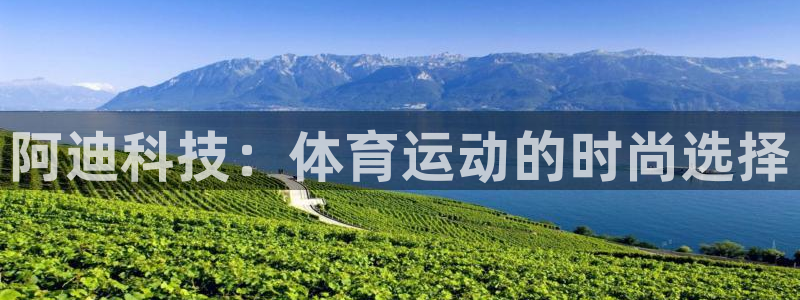杏宇平台注册：阿迪科技：体育运动的时尚选择