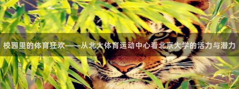 杏宇注册：校园里的体育狂欢——从北大体育运动中心看北京大学的活力与潜力