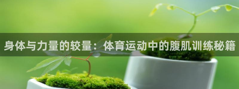 杏宇体育凯捷代理注册：身体与力量的较量：体育运动中的腹肌训练秘籍