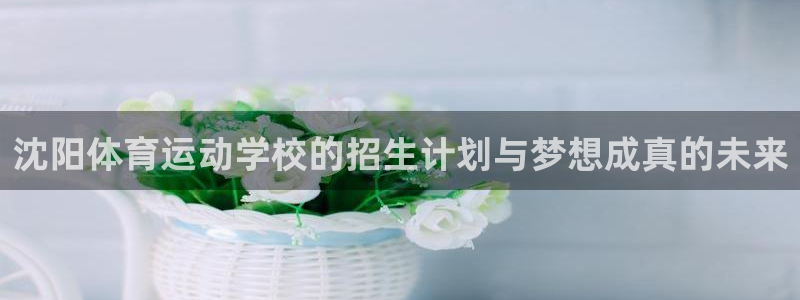 杏宇电子有限公司：沈阳体育运动学校的招生计划与梦想成真的未来
