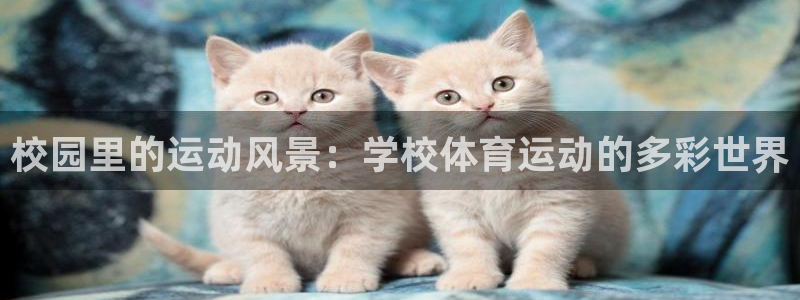杏宇：校园里的运动风景：学校体育运动的多彩世界