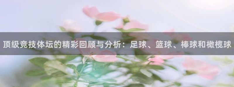 杏宇体育注册代理：顶级竞技体坛的精彩回顾与分析：足球、篮球、棒球和橄榄球