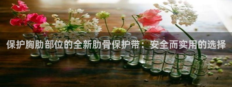 杏宇3：保护胸肋部位的全新肋骨保护带：安全而实用的选择