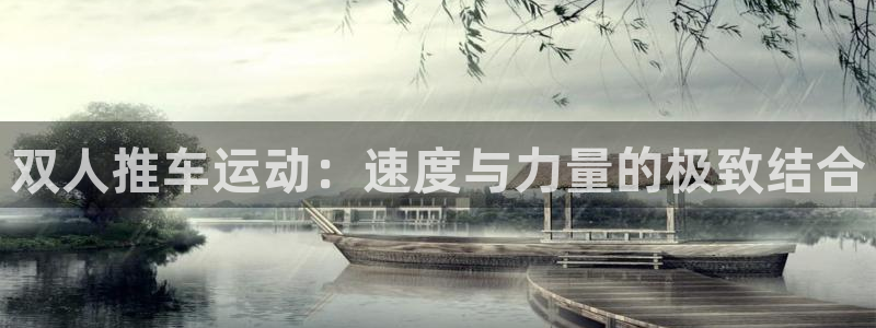 杏宇登录：双人推车运动：速度与力量的极致结合