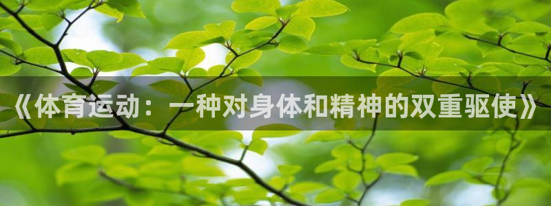 杏宇4：《体育运动：一种对身体和精神的双重驱使》