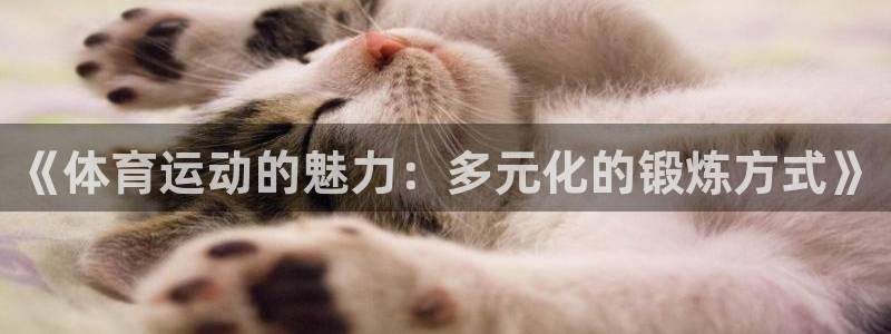 杏宇体育热门赛事有哪些：《体育运动的魅力：多元化的锻炼方式》
