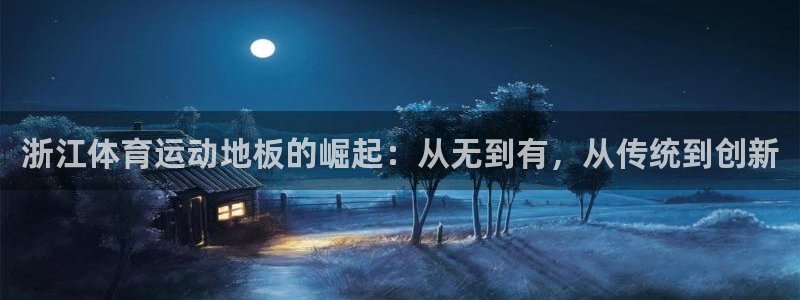 上海杏宇汽车电子有限公司：浙江体育运动地板的崛起：从无到有，从传统到创新