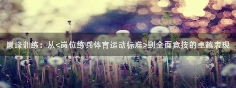 杏宇集团总部：巅峰训练：从<岗位练兵体育运动标准>到全面竞技的卓越表现