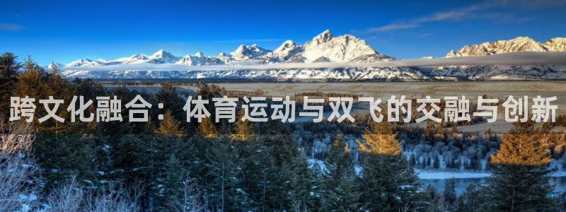 杏宇包怎么样：跨文化融合：体育运动与双飞的交融与创新
