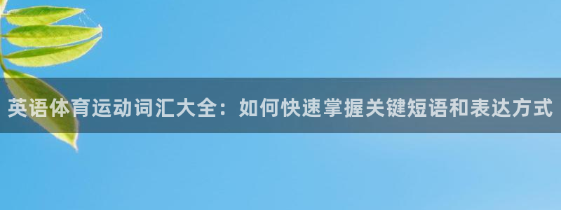 杏宇体育2官网入口：英语体育运动词汇大全：如何快速掌握关键短语和表达方式
