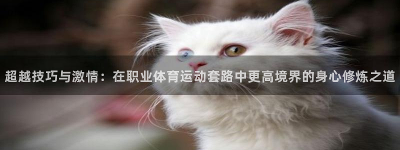 杏宇在线：超越技巧与激情：在职业体育运动套路中更高境界的身心修炼之道