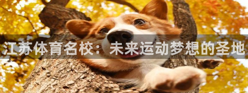 杏宇4：江苏体育名校：未来运动梦想的圣地