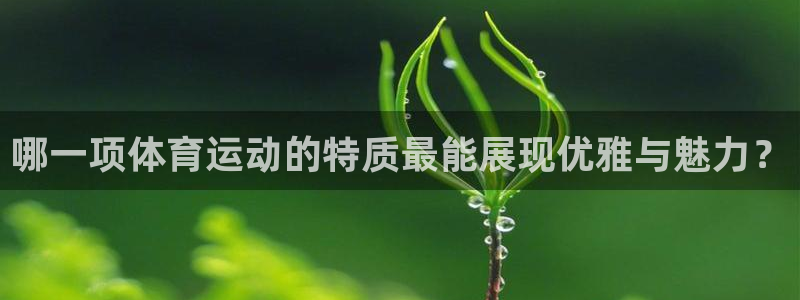 杏宇代理：哪一项体育运动的特质最能展现优雅与魅力？