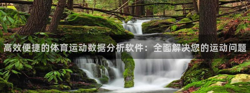 杏宇平台：高效便捷的体育运动数据分析软件：全面解决您的运动问题