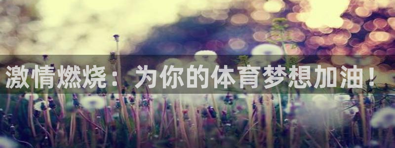 杏宇登录注册：激情燃烧：为你的体育梦想加油！