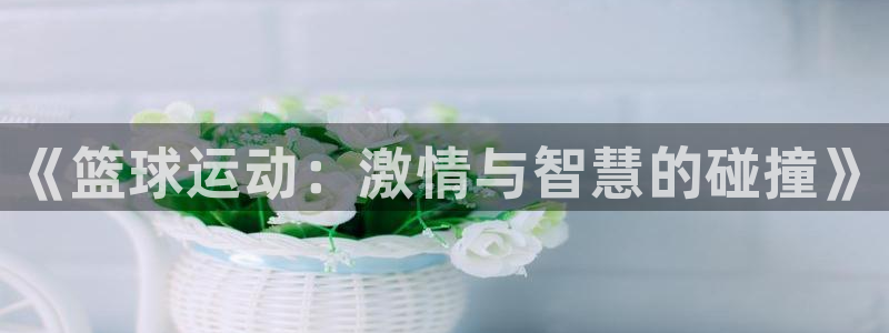 杏宇体育在线注册：《篮球运动：激情与智慧的碰撞》