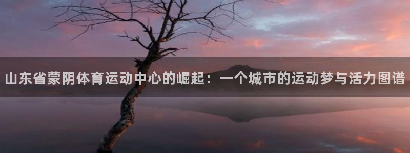 杏宇平台：山东省蒙阴体育运动中心的崛起：一个城市的运动梦与活力图谱