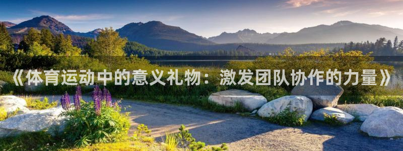 杏宇平台：《体育运动中的意义礼物：激发团队协作的力量》