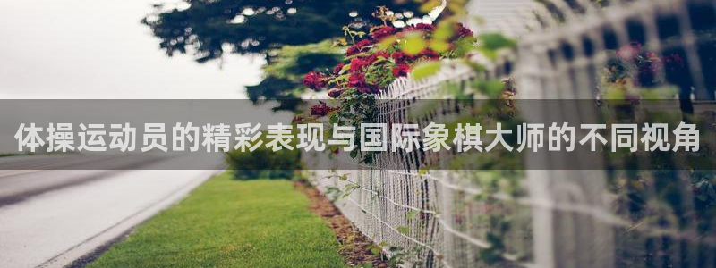 杏宇登录：体操运动员的精彩表现与国际象棋大师的不同视角