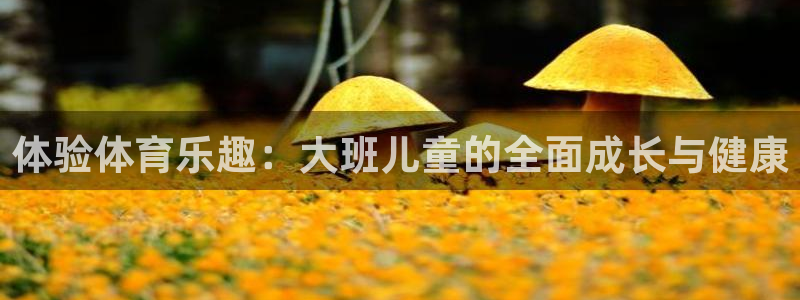 杏宇2平台登录：体验体育乐趣：大班儿童的全面成长与健康
