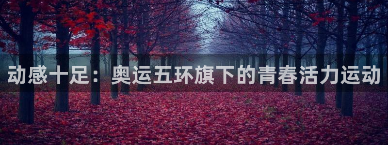 杏宇2登录：动感十足：奥运五环旗下的青春活力运动