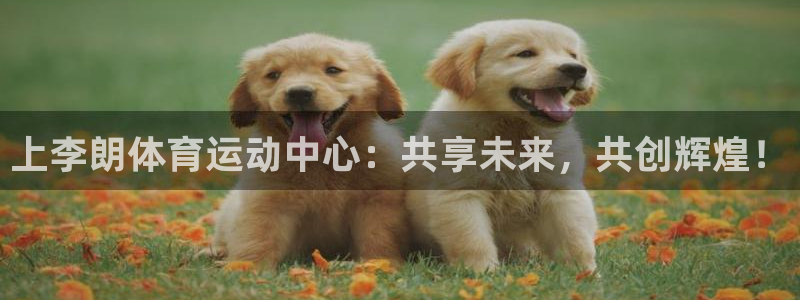 杏宇电子有限公司：上李朗体育运动中心：共享未来，共创辉煌！