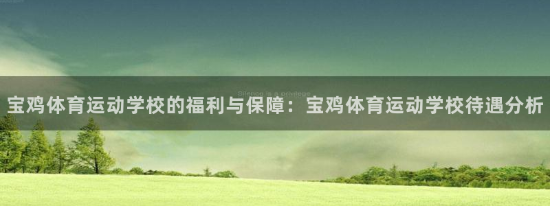 杏宇凯捷注册：宝鸡体育运动学校的福利与保障：宝鸡体育运动学校待遇分析
