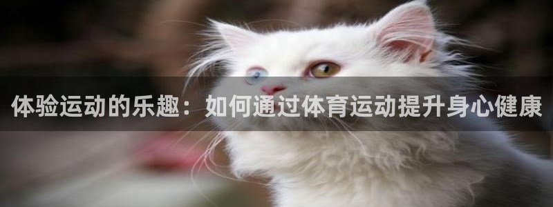 杏宇注册平台登录网址：体验运动的乐趣：如何通过体育运动提升身心健康