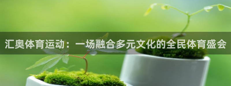 杏宇平台注册：汇奥体育运动：一场融合多元文化的全民体育盛会