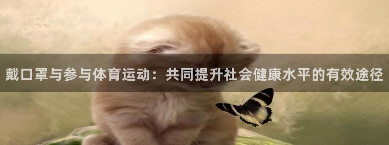 上海杏宇汽车电子有限公司：戴口罩与参与体育运动：共同提升社会健康水平的有效途径