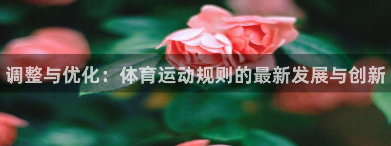 杏宇3官网登录：调整与优化：体育运动规则的最新发展与创新