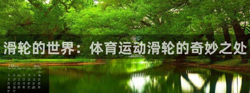 杏宇电子有限公司：滑轮的世界：体育运动滑轮的奇妙之处