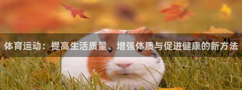 杏宇体育代理：体育运动：提高生活质量、增强体质与促进健康的新方法