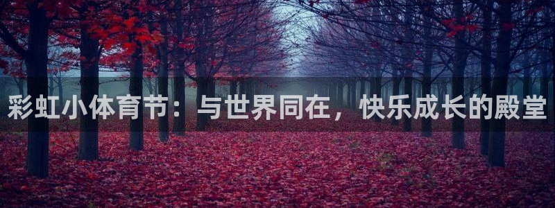 杏宇体育在线注册：彩虹小体育节：与世界同在，快乐成长的殿堂