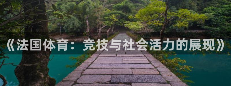 杏宇平台官网登录入口：《法国体育：竞技与社会活力的展现》