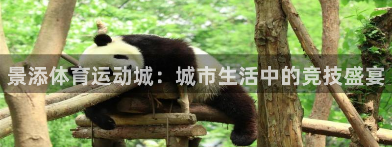 杏宇3登陆：景添体育运动城：城市生活中的竞技盛宴